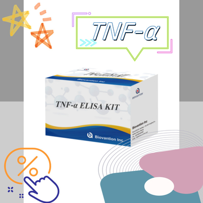 TNF-α RUO Elisa Test For Serum Plasma Giải pháp chẩn đoán chính xác và thuận tiện cho nghiên cứu