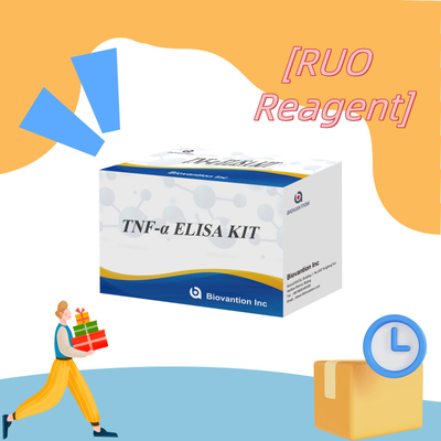 TNF-α RUO Elisa Test For Serum Plasma Giải pháp chẩn đoán chính xác và thuận tiện cho nghiên cứu