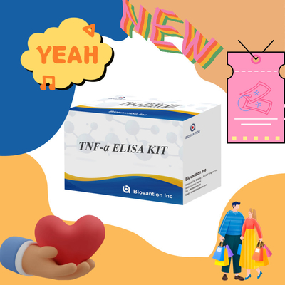 TNF-α RUO Elisa Test For Serum Plasma Giải pháp chẩn đoán chính xác và thuận tiện cho nghiên cứu