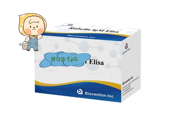 Rubella IgG ELisa Test Kit Fertility Troch Phụ nữ mang thai sử dụng