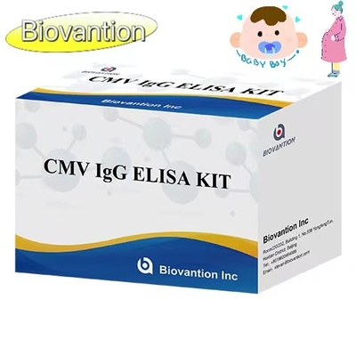 CMV IgG ELISA Kit Phụ nữ mang thai Thử nghiệm phòng ngừa Độ chính xác cao