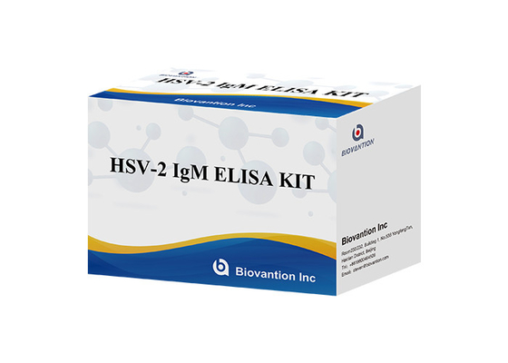 HSV 2 IgM Torch ELISA Test Kit Cảnh báo sử dụng chính xác cao