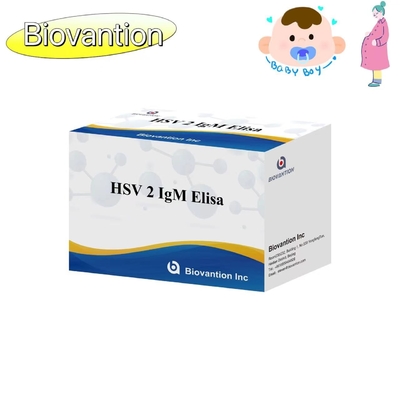 HSV 2 IgM Torch ELISA Test Kit Cảnh báo sử dụng chính xác cao