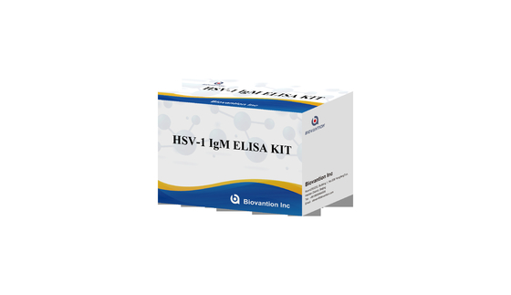 Bộ thử nghiệm ELISA đèn đuốc HSV 1 IgM High Hot Sale Diagnostic Reagent IVD