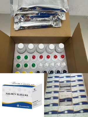 Thời gian vận chuyển liên quan đến enzyme kháng thể HCV đối với virus viêm gan C ngắn