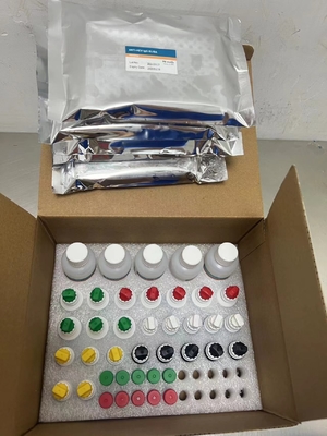 Thời gian vận chuyển liên quan đến enzyme kháng thể HCV đối với virus viêm gan C ngắn