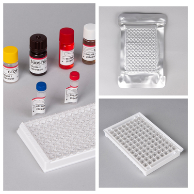 Bộ dụng cụ xét nghiệm HIV Ab Ag Elisa với thời hạn sử dụng 18 tháng và độ nhạy / đặc tính cao