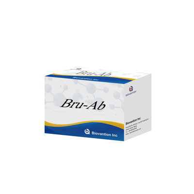 Bru Ab Bộ thử nghiệm ELISA chính xác cho phát hiện nhắm mục tiêu với CE ISO 13485