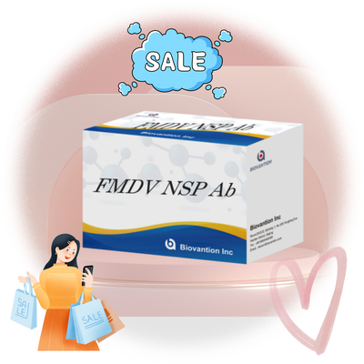 Bộ thử nghiệm ELISA của loạt động vật FMDV NSP Ab Phương pháp điều trị kháng thể huyết thanh cho động vật