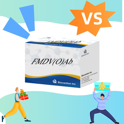 Bovine Foot And Moon Disease Virus O Antibody Rapid Test Kit FMD FMDV Khám phá bệnh động vật