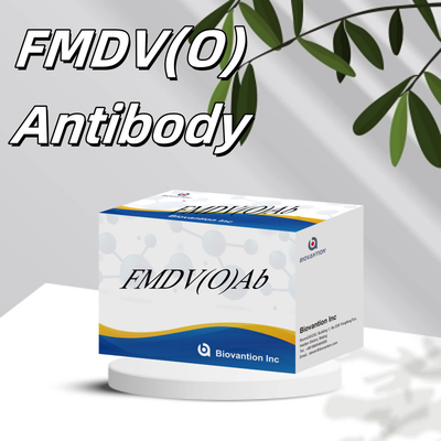 Bovine Foot And Moon Disease Virus O Antibody Rapid Test Kit FMD FMDV Khám phá bệnh động vật