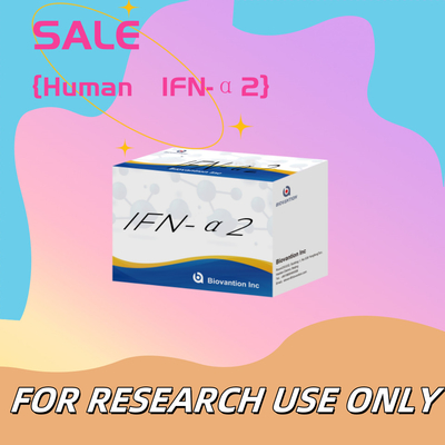 Elisa Reagents Kit IFN-α2 của con người cho nghiên cứu Sử dụng Elisa Reagents Độ nhạy cao