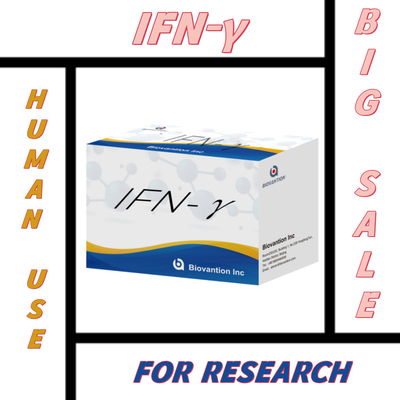 Nghiên cứu trong phòng thí nghiệm Elisa Reagents Kit for Human use IFN-γ Elisa Reagents Độ nhạy cao