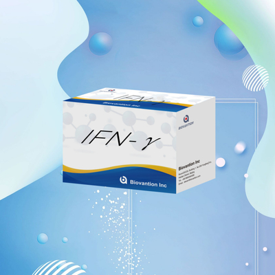 Nghiên cứu trong phòng thí nghiệm Elisa Reagents Kit for Human use IFN-γ Elisa Reagents Độ nhạy cao