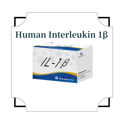Elisa Interleukin 1β (IL-1β) chỉ dùng trong nghiên cứu