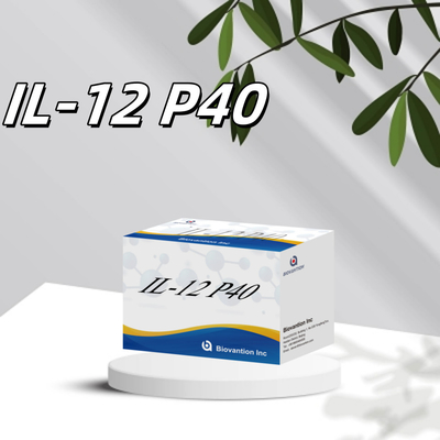 96 T Serum 98% đặc tính ELISA RUO Test Kit Human IL-12 P40