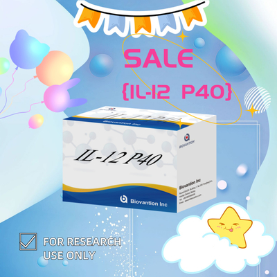 96 T Serum 98% đặc tính ELISA RUO Test Kit Human IL-12 P40