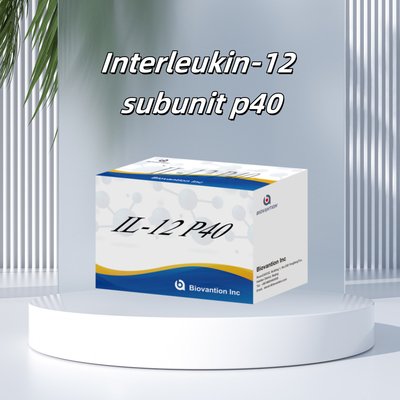 96 T Serum 98% đặc tính ELISA RUO Test Kit Human IL-12 P40