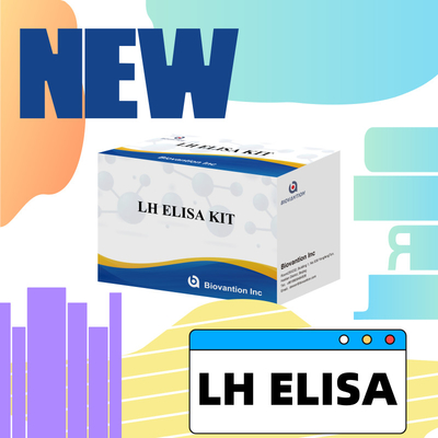Biovantion ELISA Test Kit để chẩn đoán Hormone Luteinizing của con người LH (Quantitative)