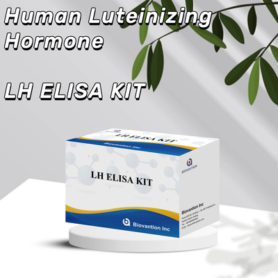 Biovantion ELISA Test Kit để chẩn đoán Hormone Luteinizing của con người LH (Quantitative)