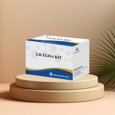 Biovantion ELISA Test Kit để chẩn đoán Hormone Luteinizing của con người LH (Quantitative)