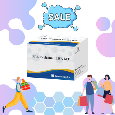 PRL Số lượng Hormone con người Phương pháp chẩn đoán