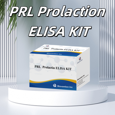 PRL Số lượng Hormone con người Phương pháp chẩn đoán