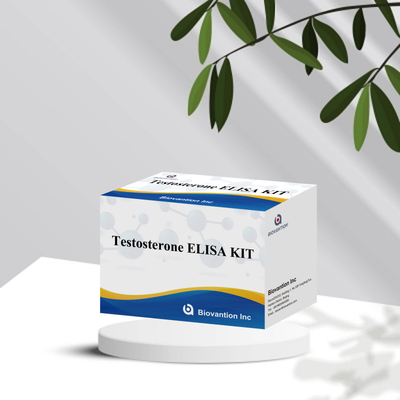 Phân tích huyết thanh mẫu ELISA phản ứng phát hiện người Test0sterone Quantitative ELISA kit