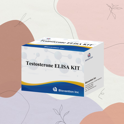 Phân tích huyết thanh mẫu ELISA phản ứng phát hiện người Test0sterone Quantitative ELISA kit