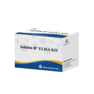 Biovantion Inhibin B Elisa Test Kit để chẩn đoán ở người với 96T