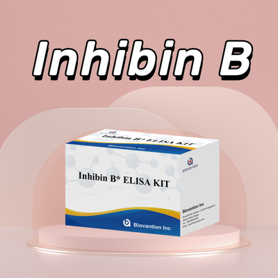 Biovantion Inhibin B Elisa Test Kit để chẩn đoán ở người với 96T