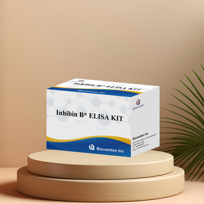 Biovantion Inhibin B Elisa Test Kit để chẩn đoán ở người với 96T
