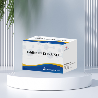 Biovantion Inhibin B Elisa Test Kit để chẩn đoán ở người với 96T
