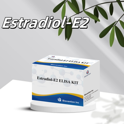 Biovantion Estradiol Quantitative 96-Well Plate Test Kit cho các mẫu huyết thanh có độ nhạy cao