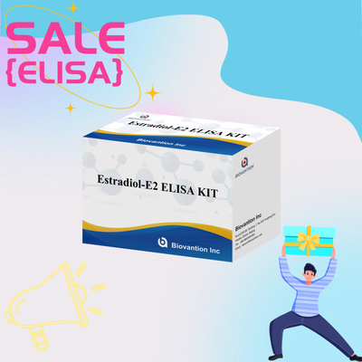 Biovantion Estradiol Quantitative 96-Well Plate Test Kit cho các mẫu huyết thanh có độ nhạy cao