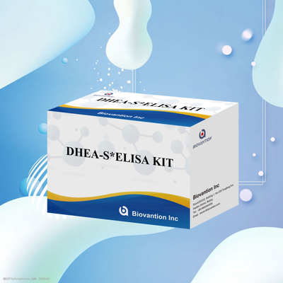 Kiểm tra sinh học Dehydroepiandrosteronesulfate DHEA-S Kit thử nghiệm Elisa nhạy cảm