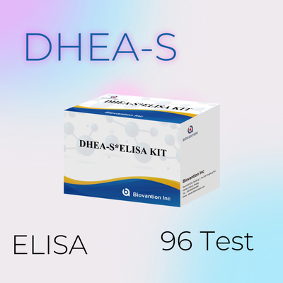 Kiểm tra sinh học Dehydroepiandrosteronesulfate DHEA-S Kit thử nghiệm Elisa nhạy cảm