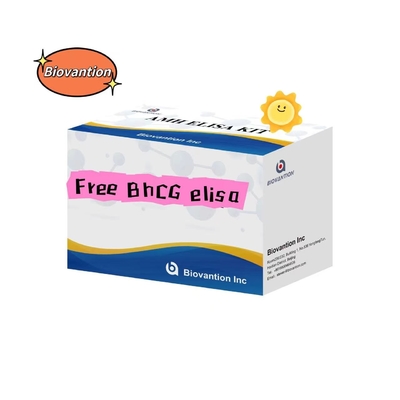 Phụ kiện xét nghiệm BHCG Elisa miễn phí Serum Lưu trữ 2-8.C 18 ngày sử dụng trong miệng