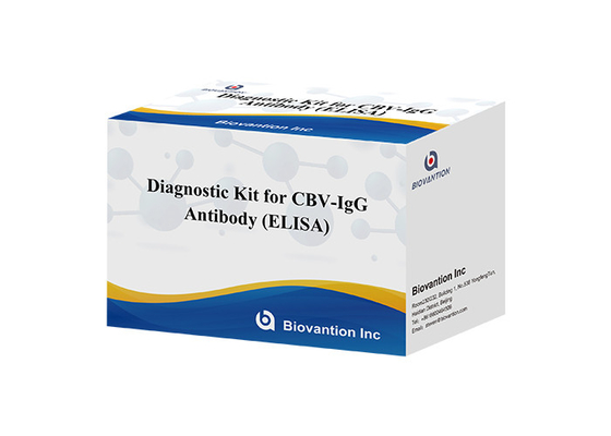 Bộ chẩn đoán cho kháng thể CBV-IgG Bộ thử nghiệm ELISA Bộ thử nghiệm huyết thanh