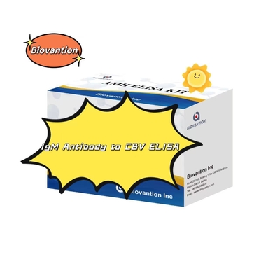 Bộ chẩn đoán cho kháng thể IgM chống lại CBV Elisa Test Kit 50μL Serum Chẩn đoán y tế