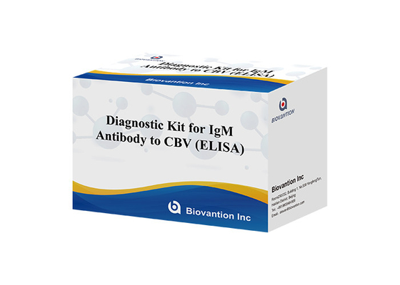 Bộ chẩn đoán cho kháng thể IgM chống lại CBV Elisa Test Kit 50μL Serum Chẩn đoán y tế