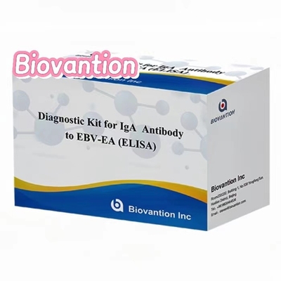 Bộ thử nghiệm EBV-EA Elisa Bộ chẩn đoán cho kháng thể IgA chính xác cao