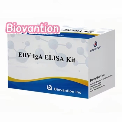 Kháng thể IgA đối với EBNA1 Elisa Test Kit Serum 50μL Format Sample Kit