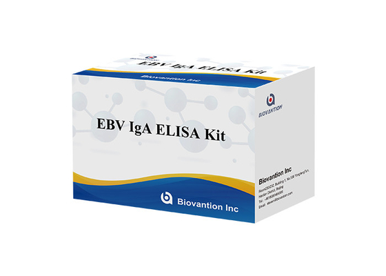 Kháng thể IgA đối với EBNA1 Elisa Test Kit Serum 50μL Format Sample Kit