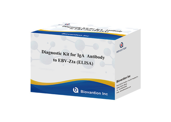 Bộ chẩn đoán cho kháng thể IgA đối với EBV-Zta ELISA TEST KIT Bộ thử nghiệm immunosorbent Assay
