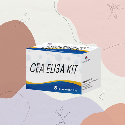 CE phê duyệt sử dụng cho người CEA Kit xét nghiệm Elisa định lượng Xét nghiệm máu hoặc huyết thanh 96T