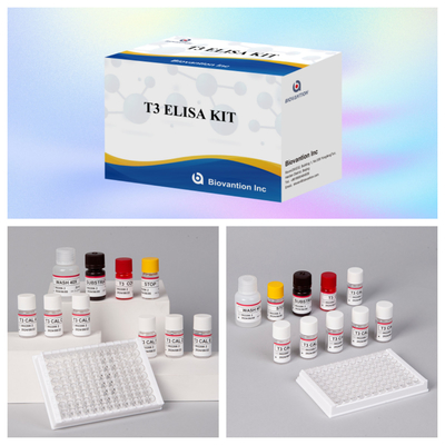 Thiết bị thử nghiệm T3 Chẩn đoán y tế Enzyme-Linked Immunosorbent Assay với độ đặc tính cao