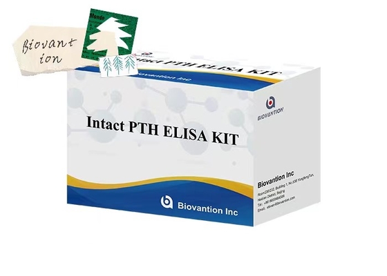 Bộ thử nghiệm ELISA đo PTH 96 nguyên vẹn cho các mẫu huyết tương với thời gian phân tích 1 giờ