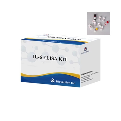 IL 6 Elisa Test Kit 1 giờ thời gian thử nghiệm 96 xét nghiệm ELISA Kit cho sử dụng trong phòng thí nghiệm IVD