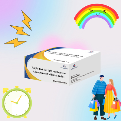 Thiết bị thử nghiệm kháng thể IgM chính xác đối với virus Adeno cho băng cassette lâm sàng và phòng thí nghiệm